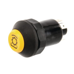 Interrupteur poussoir PNEUTRON 11175190PN