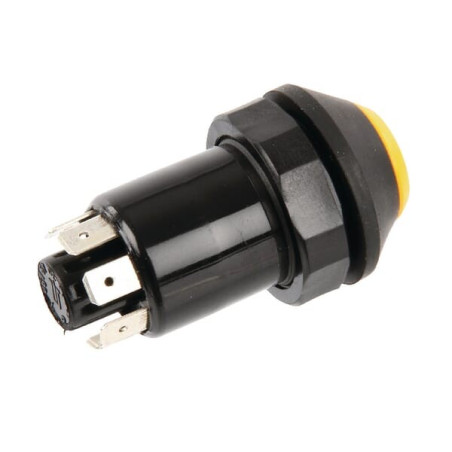 Interrupteur poussoir PNEUTRON 11175190PN