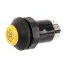 Interrupteur poussoir PNEUTRON 11165100PN
