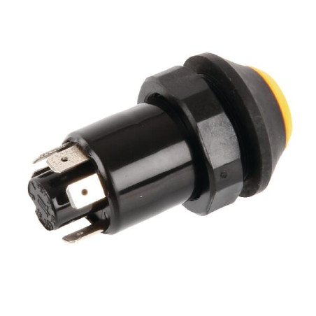 Interrupteur poussoir PNEUTRON 11165100PN