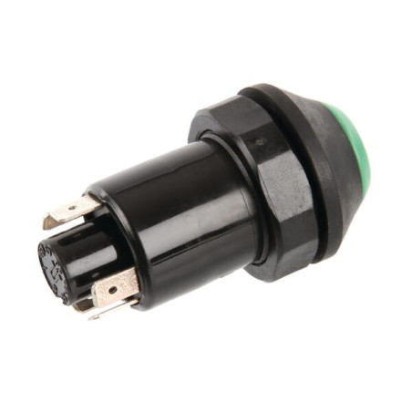 Interrupteur poussoir PNEUTRON 11165080PN