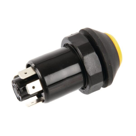 Interrupteur poussoir PNEUTRON 11130790PN