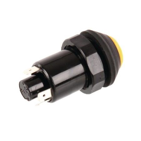 Interrupteur poussoir PNEUTRON 11130200PN