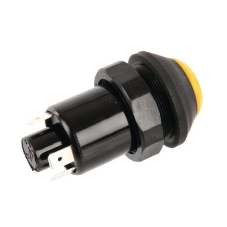 Interrupteur poussoir PNEUTRON 11130170PN