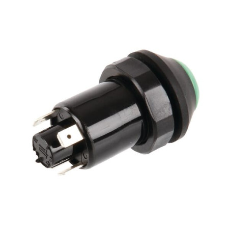 Interrupteur poussoir PNEUTRON 11130150PN