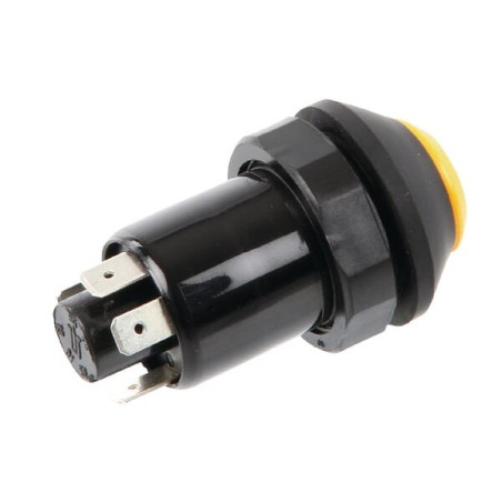 Interrupteur poussoir PNEUTRON 11126010PN
