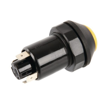 Interrupteur poussoir PNEUTRON 11120100PN