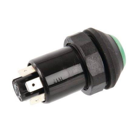 Interrupteur poussoir PNEUTRON 11110810PN