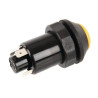 Interrupteur poussoir PNEUTRON 11110430PN