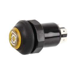 Interrupteur poussoir PNEUTRON 11110290PN