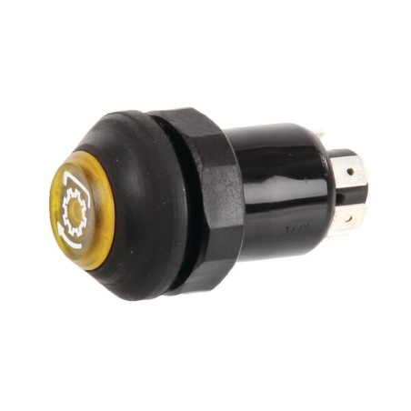 Interrupteur poussoir PNEUTRON 11110290PN