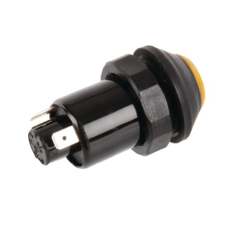 Interrupteur poussoir PNEUTRON 11110290PN