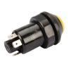 Interrupteur PNEUTRON 11245100PN