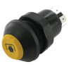 Interrupteur PNEUTRON 11175390PN