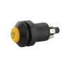Interrupteur PNEUTRON 11175250PN