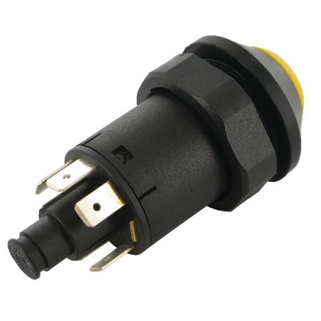 Interrupteur PNEUTRON 11175240PN