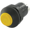 Interrupteur PNEUTRON 11175160PN