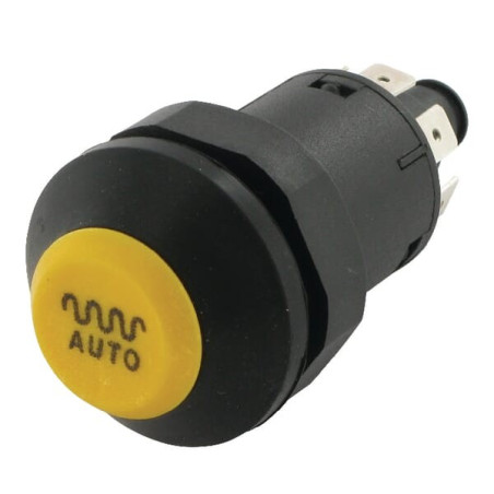 Interrupteur PNEUTRON 11175070PN