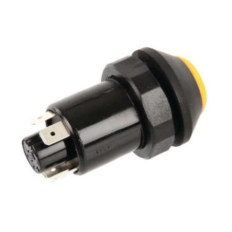 Interrupteur PNEUTRON 11145090PN