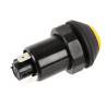 Interrupteur PNEUTRON 11130420PN