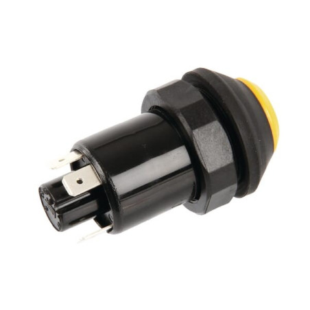 Interrupteur PNEUTRON 11130090PN