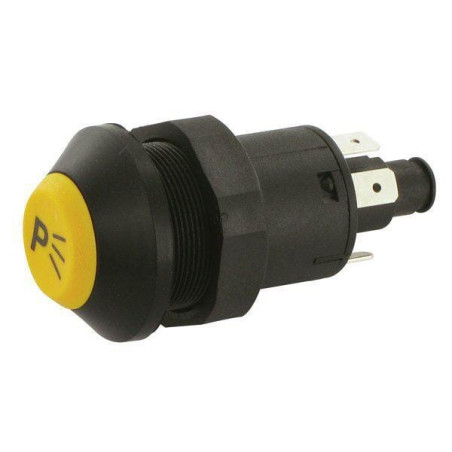Interrupteur PNEUTRON 11130030PN