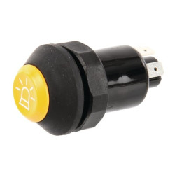 Interrupteur PNEUTRON 11110790PN