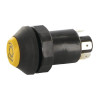 Interrupteur PNEUTRON 11110370PN
