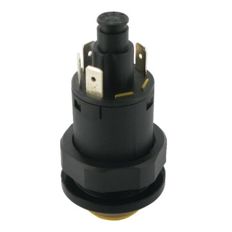 Interrupteur PNEUTRON 11110360PN