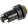 Interrupteur PNEUTRON 11104010PN