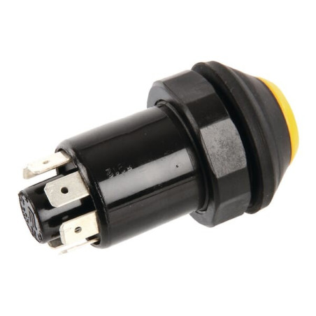 Interrupteur PNEUTRON 11100160PN
