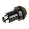 Interrupteur PNEUTRON 11100160PN