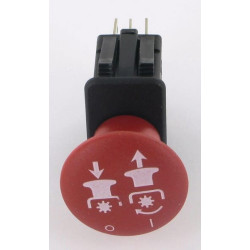 Interrupteur AYP FGP454301