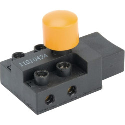 Interrupteur ALPINA ALP6980503