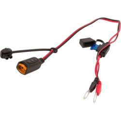 Indicateur de niveau batterie CTEK 40133CTEK