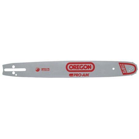 Guide de tronçonneuse OREGON 158PXBK041