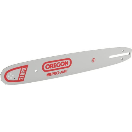 Guide de tronçonneuse OREGON 138PXBK041