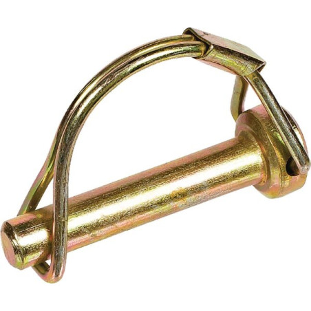 Goupille AGRIA AGW454133