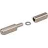 Gonds à souder 60mm UNBRANDED HS762850RVS