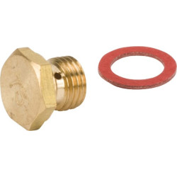 Gicleur principal BRIGGS ET STRATTON 797575