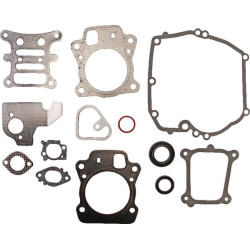 Gasket set-engine BRIGGS ET STRATTON 592173