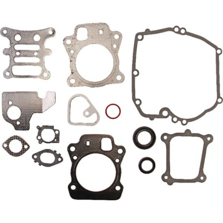 Gasket set-engine BRIGGS ET STRATTON 592173