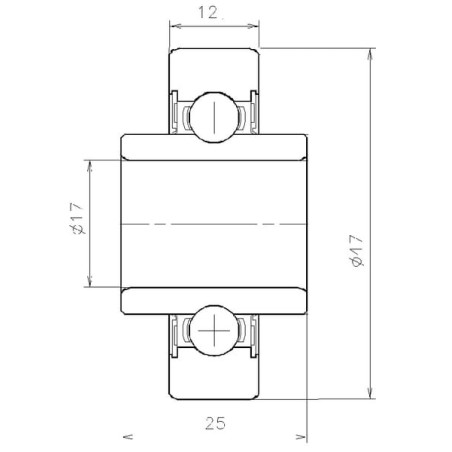 Galet NTN/FSNR NWB01572