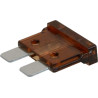 Fusible IMAXX SI22075