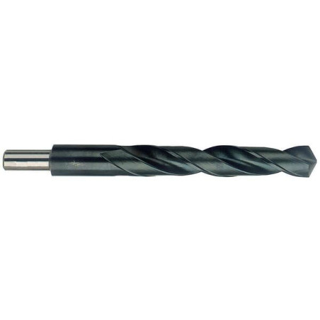 Forêt IZAR MB13513IZA