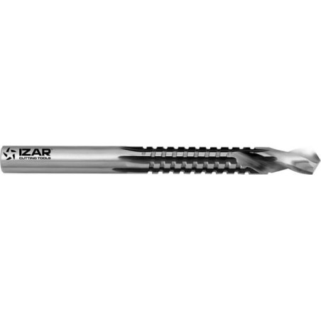 Forêt IZAR 16330IZA