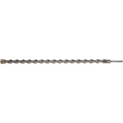 Forêt HIKOKI 782519