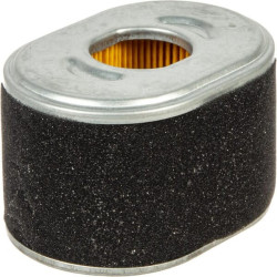 Filtre de purificateur d’air BRIGGS ET STRATTON 594146