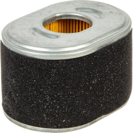 Filtre de purificateur d’air BRIGGS ET STRATTON 594146