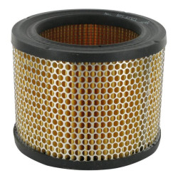 Filtre à air TORO FGP011789